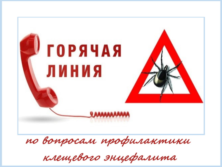 «Горячая линия» по вопросам профилактики клещевого энцефалита.